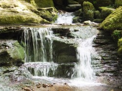 Monbachtal_4
