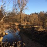 starzel-bei-rangendingen