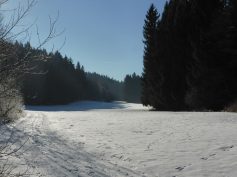p1040403_1
